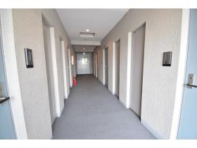 ���p�L���@�����ɂ��ꂽ���p�����ł��B