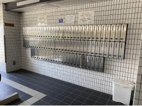 1�K�W���|�X�g�@2025�N�Ƀ��j���[�A������Ă��܂��I