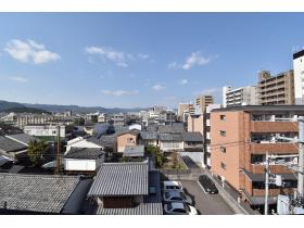 �T�K����̒��]�ł��B�O�ʂɌ��������������炵�̗ǂ����]�ł��B