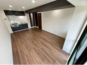 10LDKłIԌ肵Ďg₷LDKłI